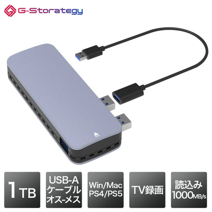 【公式】G-Storategy 外付け SSD 1TB コンパクト PS5 PS4対応 USB3.2 Gen2 シルバー NV33501EX-GY