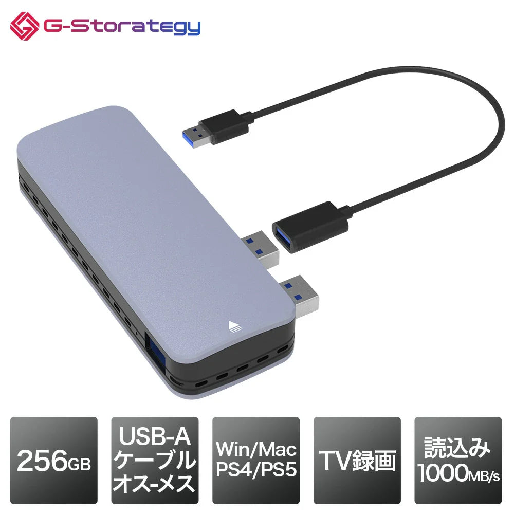 【公式】G-Storategy 外付け SSD 256GB コンパクト PS5 PS4対応 USB3.2 Gen2 シルバー NV33525EX-GY