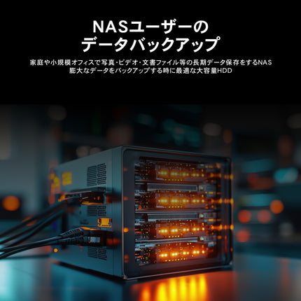 【公式】FFF SMART LIFE CONNECTED 外付けHDD 10TB TV録画対応 USB3.2 Gen1 Windows11 3.5インチ 1年保証 MAL310000EX3-BK
