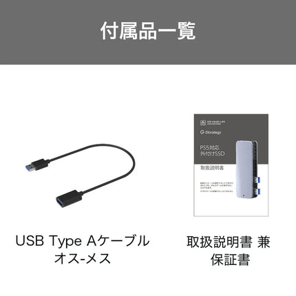 【公式】G-Storategy 外付け SSD 256GB コンパクト PS5 PS4対応 USB3.2 Gen2 シルバー NV33525EX-GY