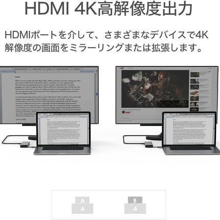 【公式】Type-Cハブ iPhone15対応 Portable 6 in 1 USB-C Hub USB-C PD最大100W対応 HDMIポート最大4K@30Hz対応 デュアルUSB-Aポート USB3.1高速転送対応 ギガビット イーサネット SDカードスロット Feeltek HCM006AP2F