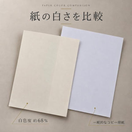 コピー用紙 B5 2500枚 (500枚×5冊) オゾンR100 王子製紙 再生コピー用紙 古紙パルプ100% グリーン購入法適合