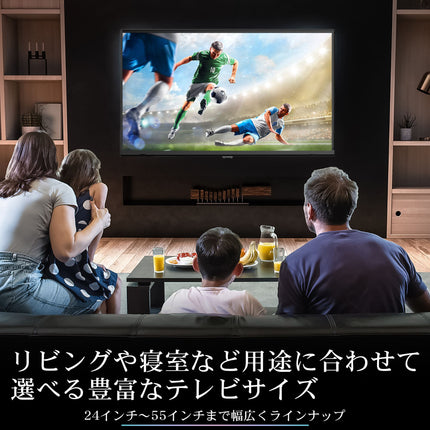 【公式】IRIE テレビ 32V型 外付けHDD2TBセット ハイビジョン 東芝ボード内蔵 外付けHDD番組録画 Wチューナー搭載 FFF-TV32WBK2-2TB-W