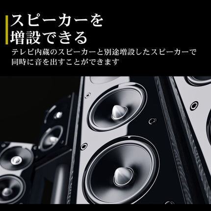 【公式】IRIE テレビ 24V型 ハイビジョン 東芝ボード内蔵 外付けHDD番組録画 Wチューナー搭載 FFF-TV24WBK2